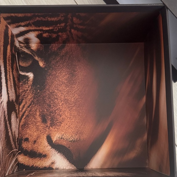 Roberto Cavalli x SKIMS Tiger-Print Orange & Black Maxi Dress with Front Slit - Picture 8 of 9